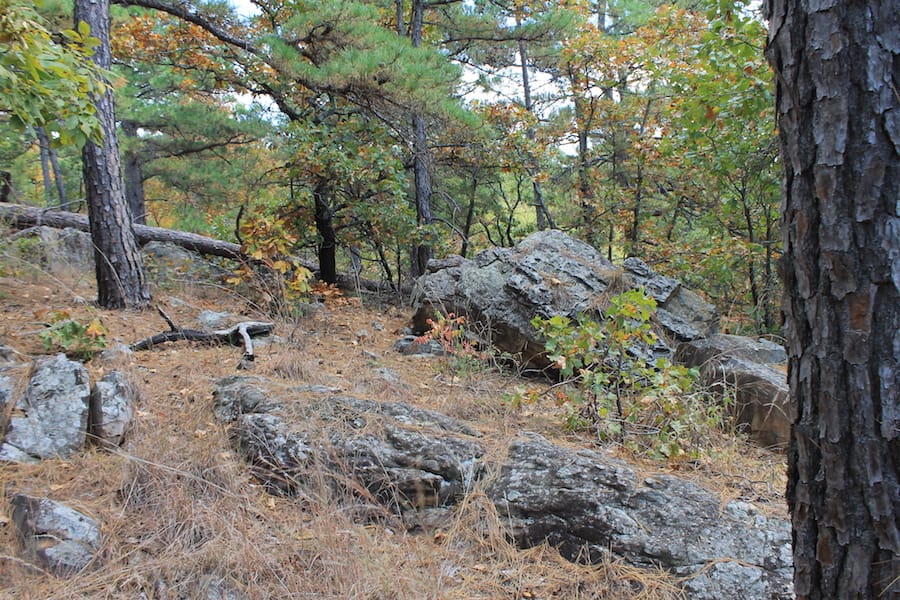 Indian Ridge – Phase III Tract 102 photo 7