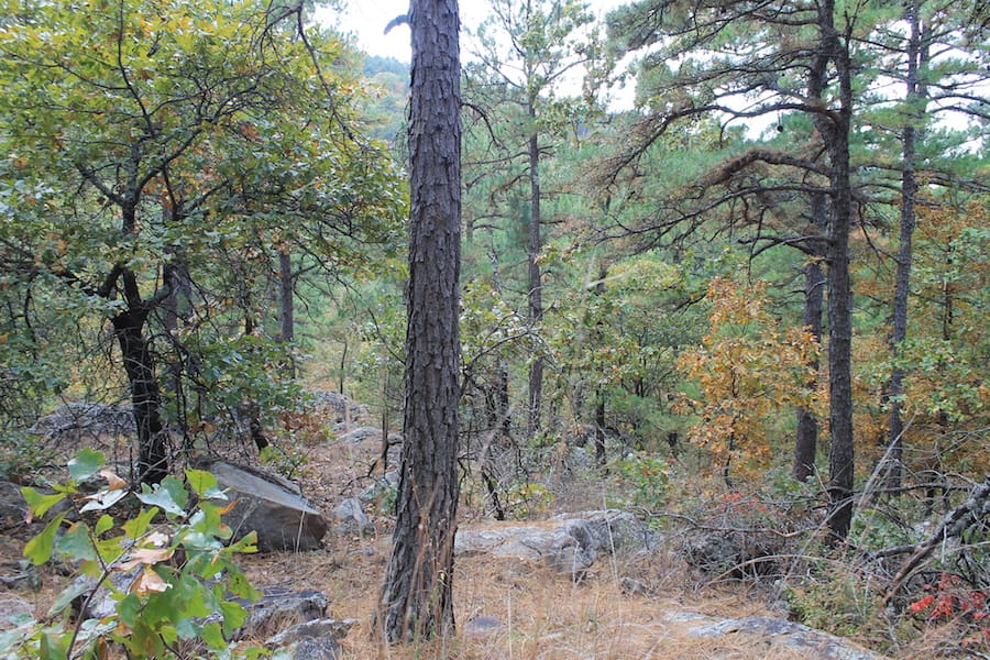 Indian Ridge – Phase III Tract 102 photo 8