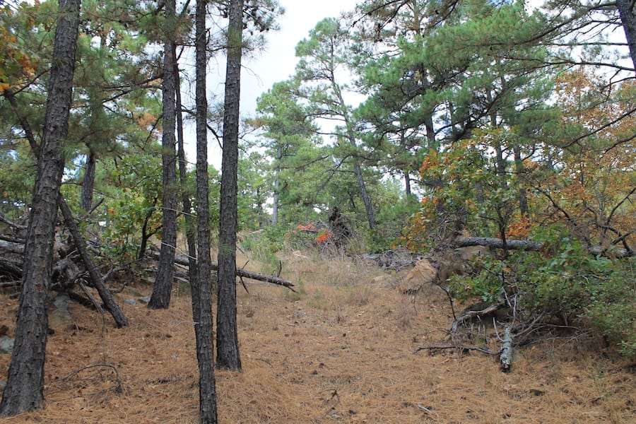 Indian Ridge – Phase III Tract 102 photo 9