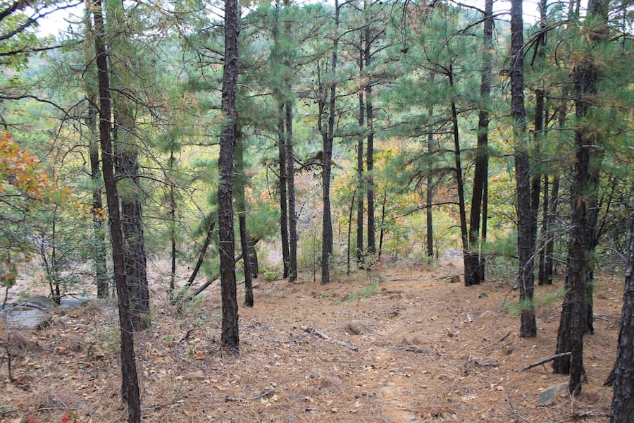 Indian Ridge – Phase III Tract 102 photo 10
