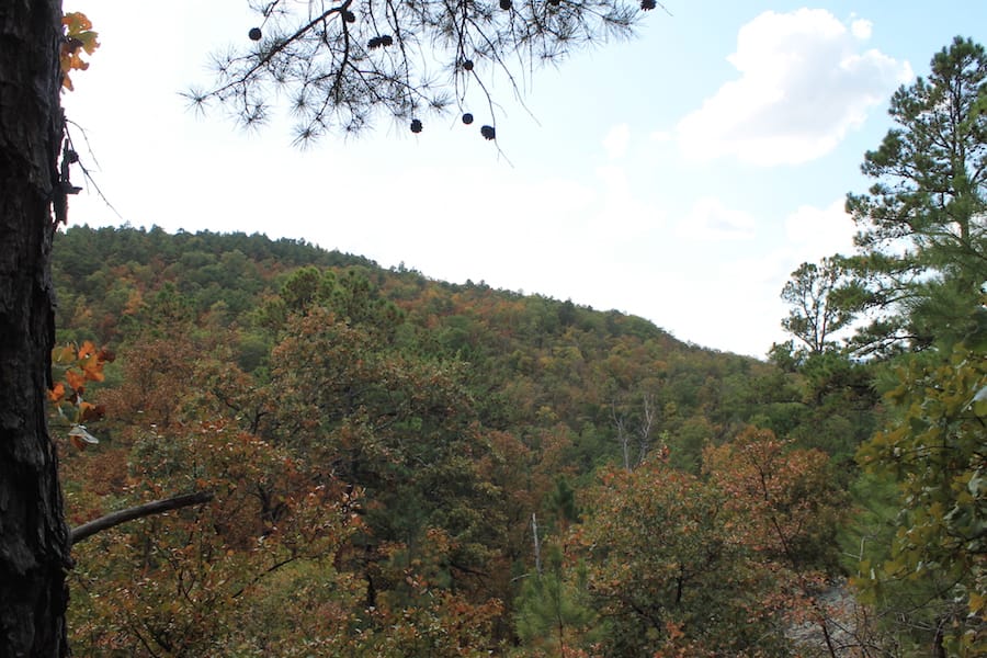 Indian Ridge – Phase III Tract 102 photo 11