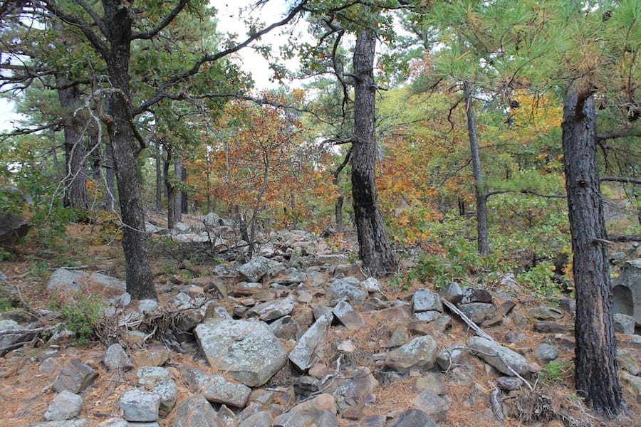 Indian Ridge – Phase III Tract 102 photo 12