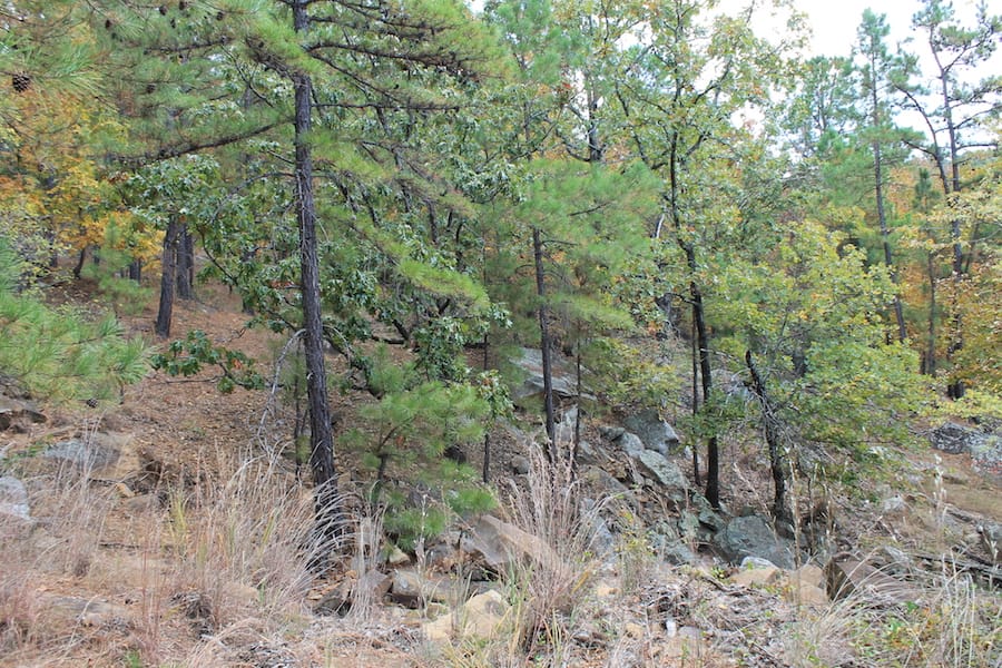 Indian Ridge – Phase III Tract 102 photo 13