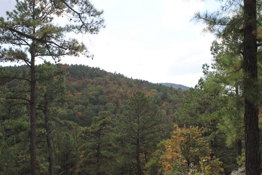 Indian Ridge – Phase III Tract 102 photo 15