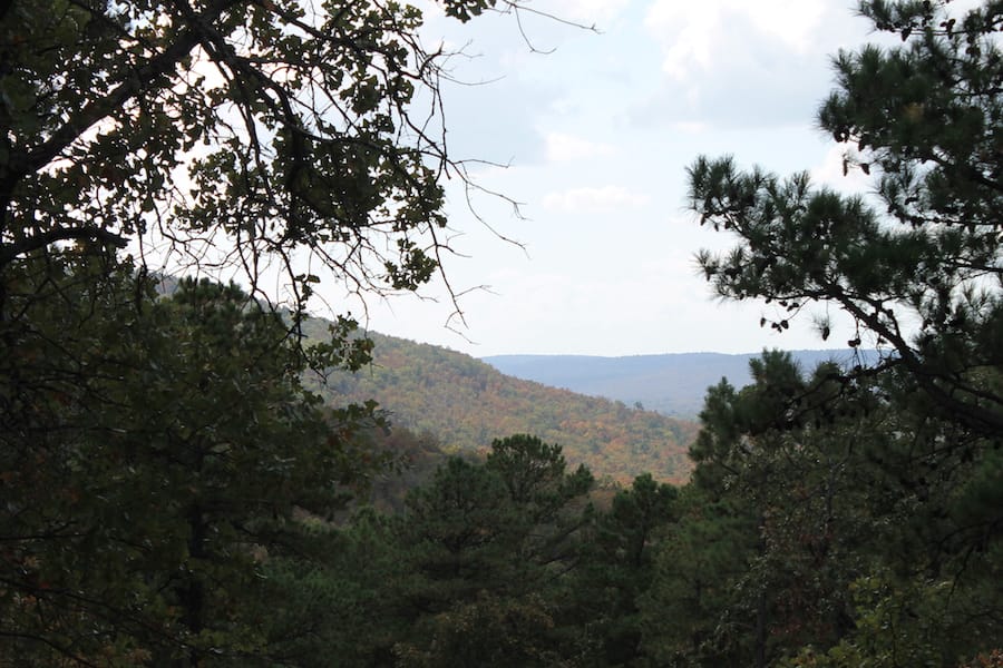 Indian Ridge – Phase III Tract 102 photo 16