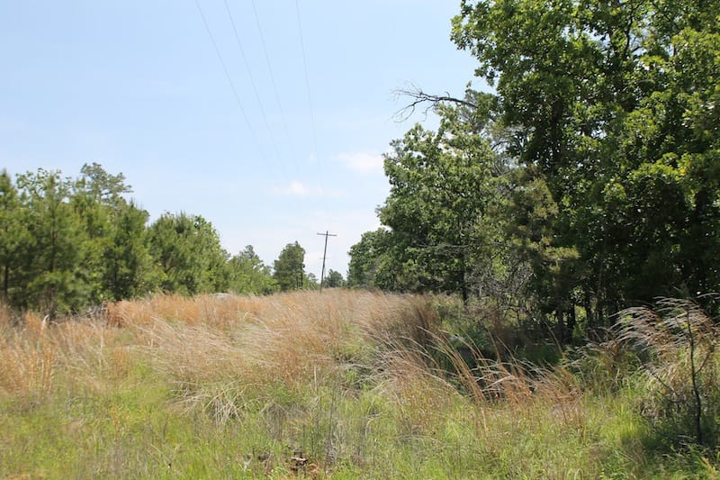 Indian Ridge – Phase II Tract 28 photo 3