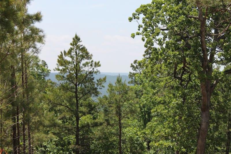 Indian Ridge – Phase II Tract 28 photo 4