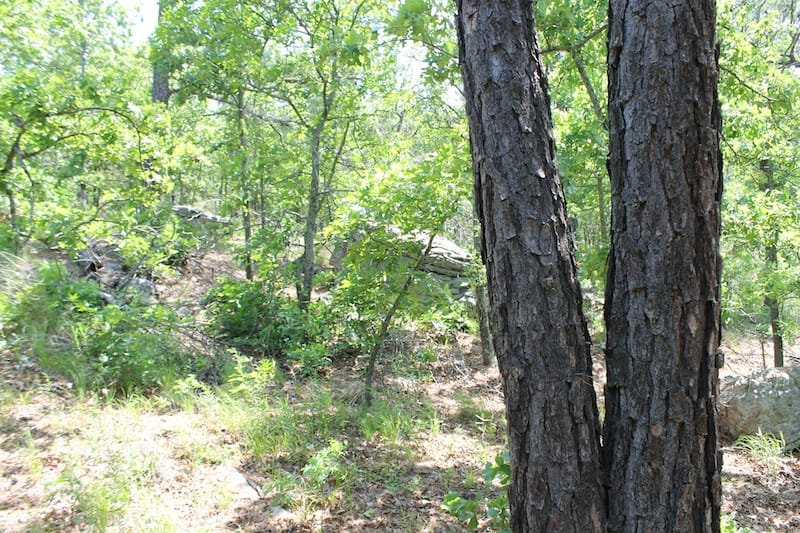 Indian Ridge – Phase II Tract 28 photo 5