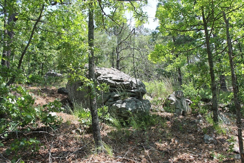 Indian Ridge – Phase II Tract 28 photo 6