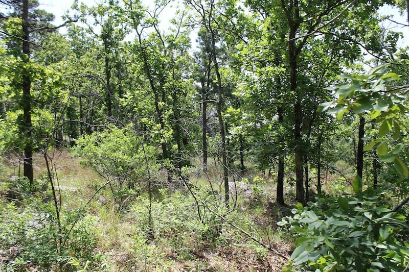 Indian Ridge – Phase II Tract 28 photo 7