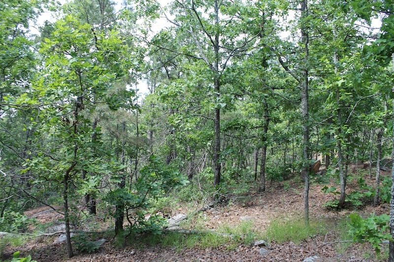 Indian Ridge – Phase II Tract 28 photo 8