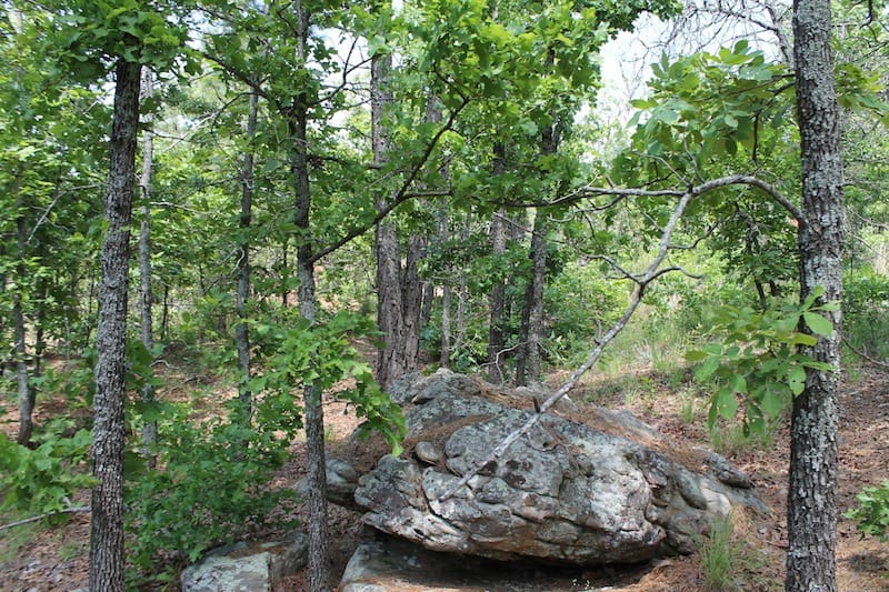 Indian Ridge – Phase II Tract 28 photo 9