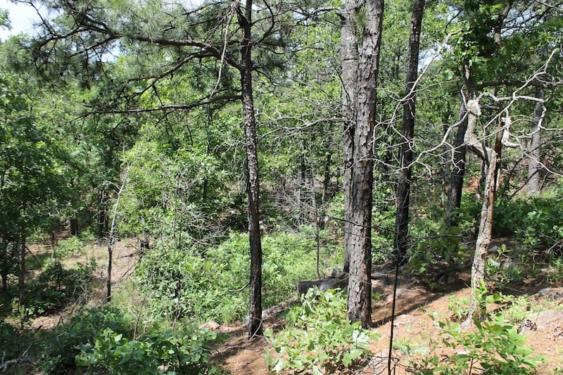 Indian Ridge – Phase II Tract 28 photo 11