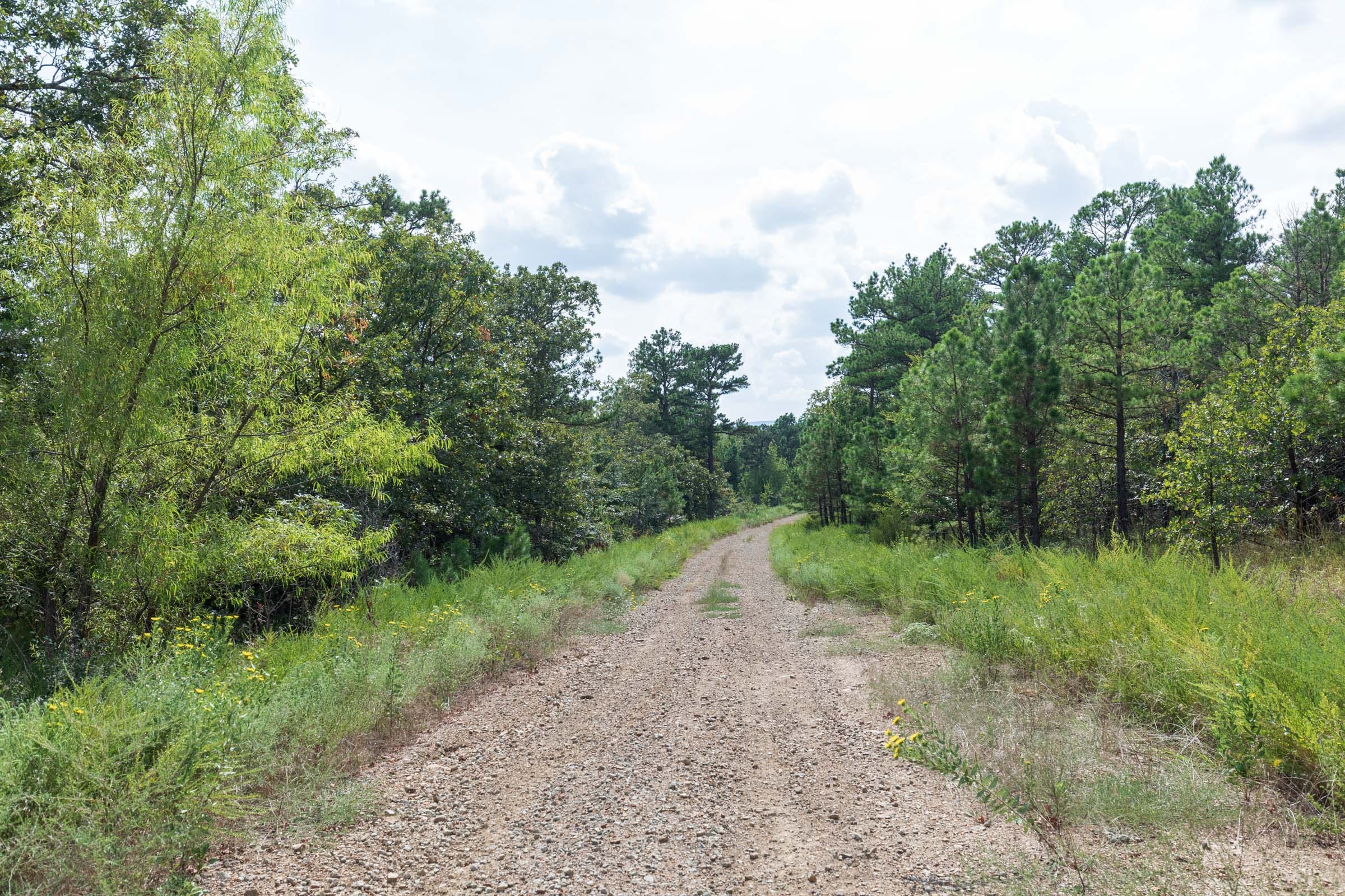 Stone Bridge Phase V Tract 347 photo 5