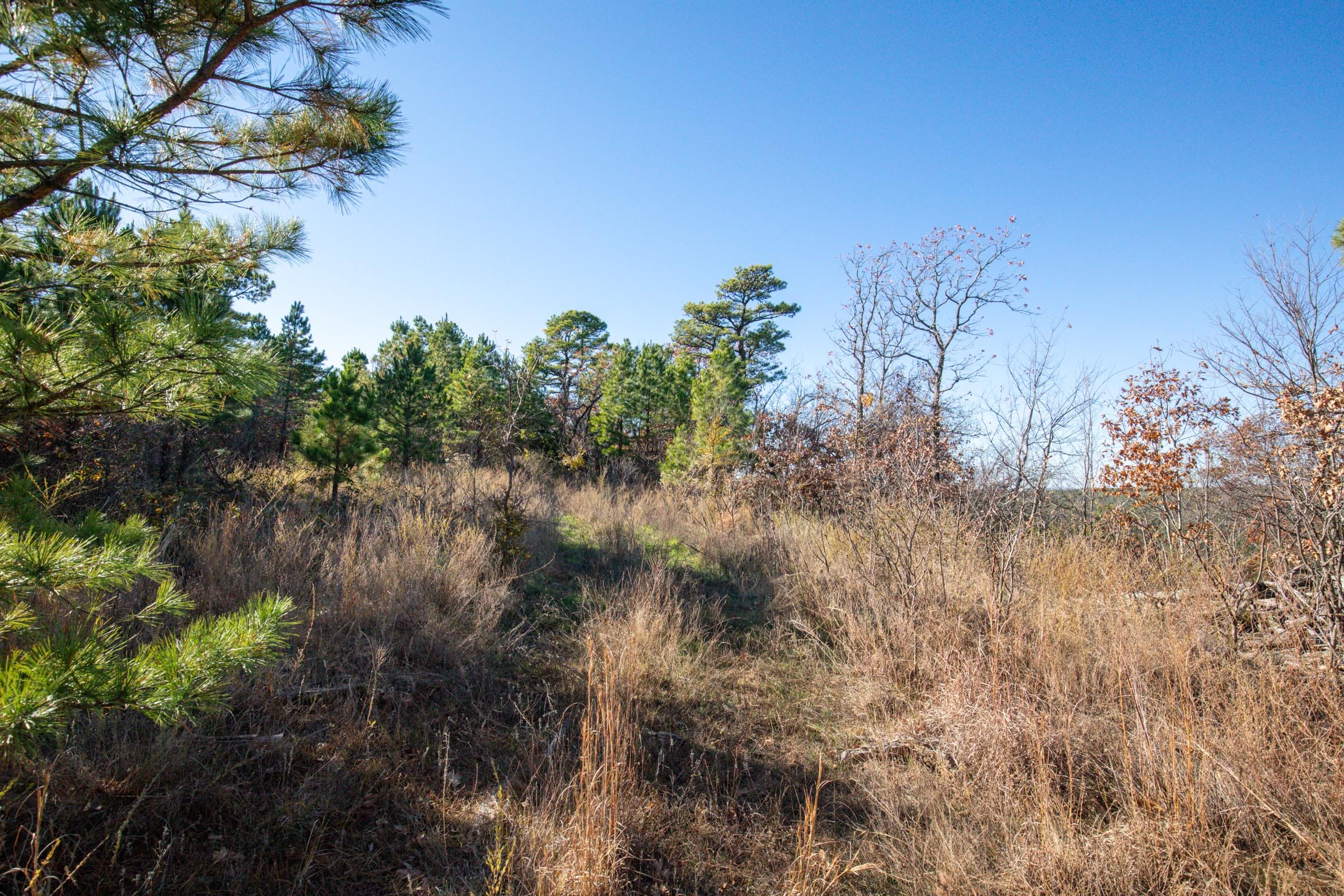 Stone Bridge Phase II Tract 80 photo 3