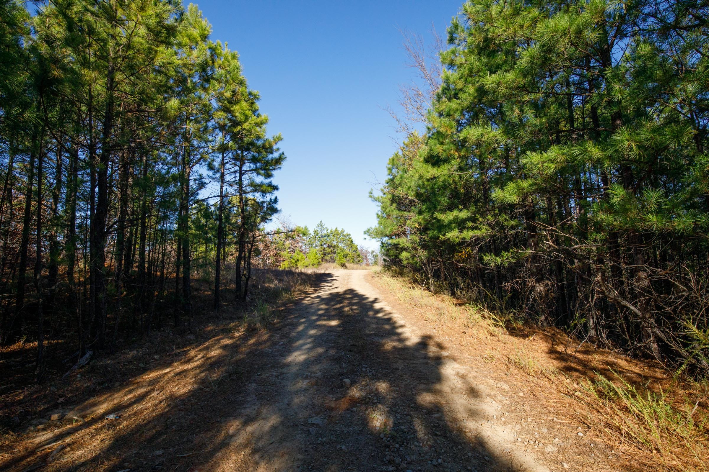 Stone Bridge Phase II Tract 80 photo 1