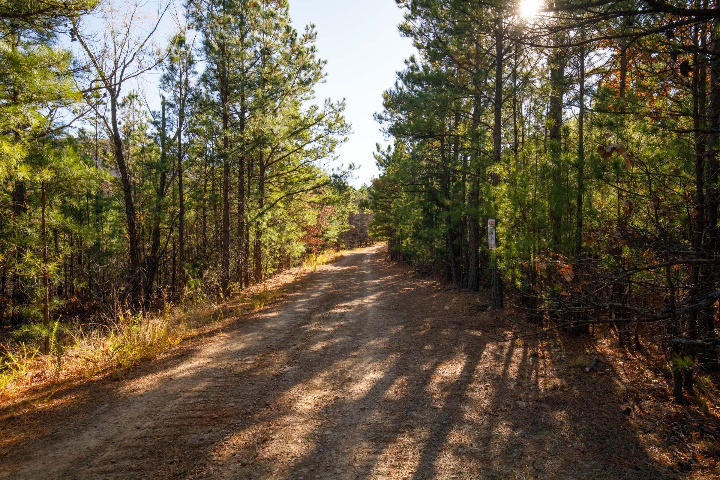 Stone Bridge Phase II Tract 80 photo 5