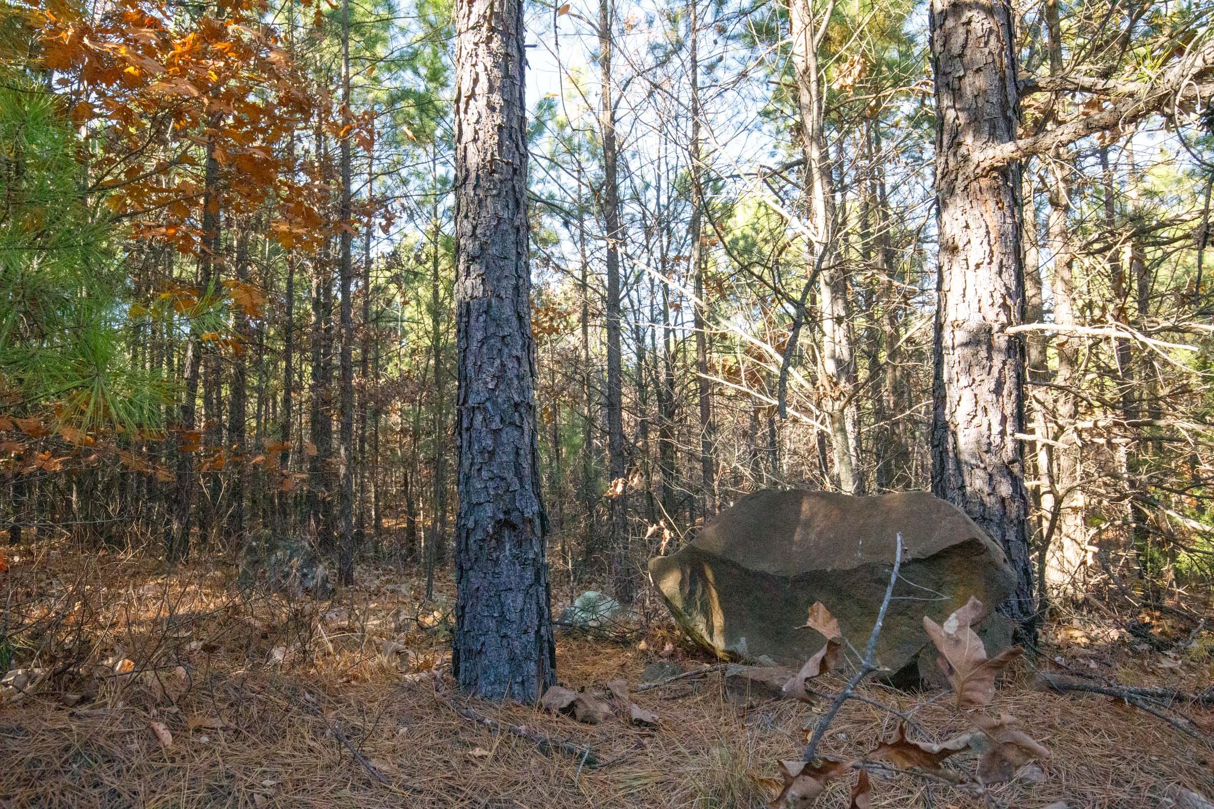 Stone Bridge Phase II Tract 80 photo 9