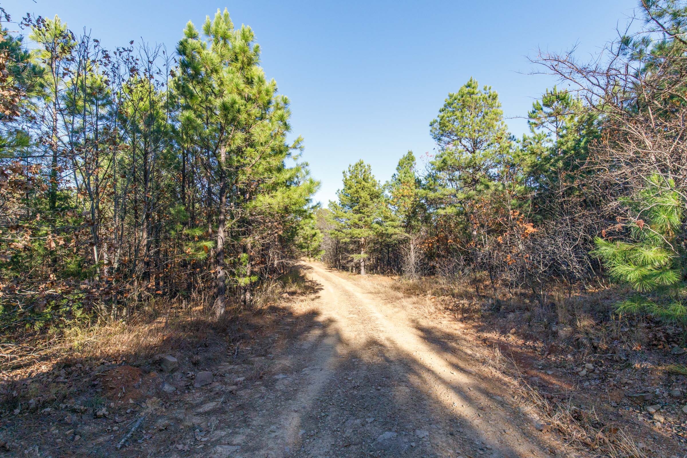 Stone Bridge Phase II Tract 80 photo 10