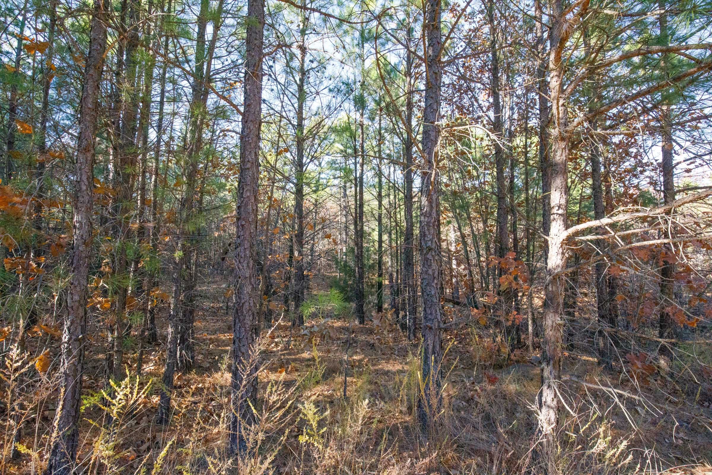 Stone Bridge Phase II Tract 80 photo 11