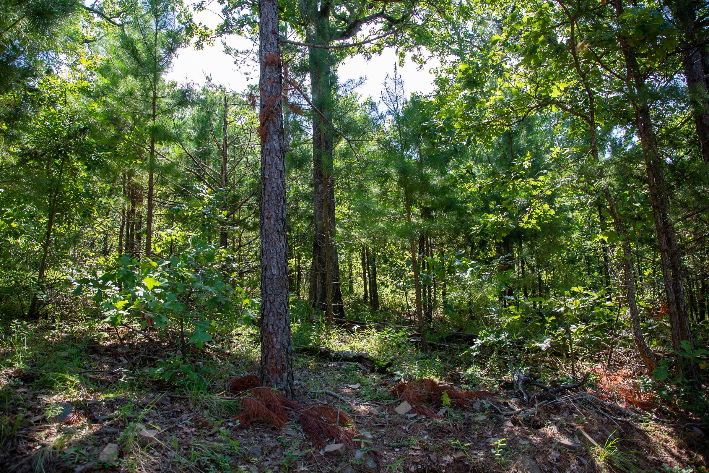 Tyler Stone Ranch Tract 69 photo 2