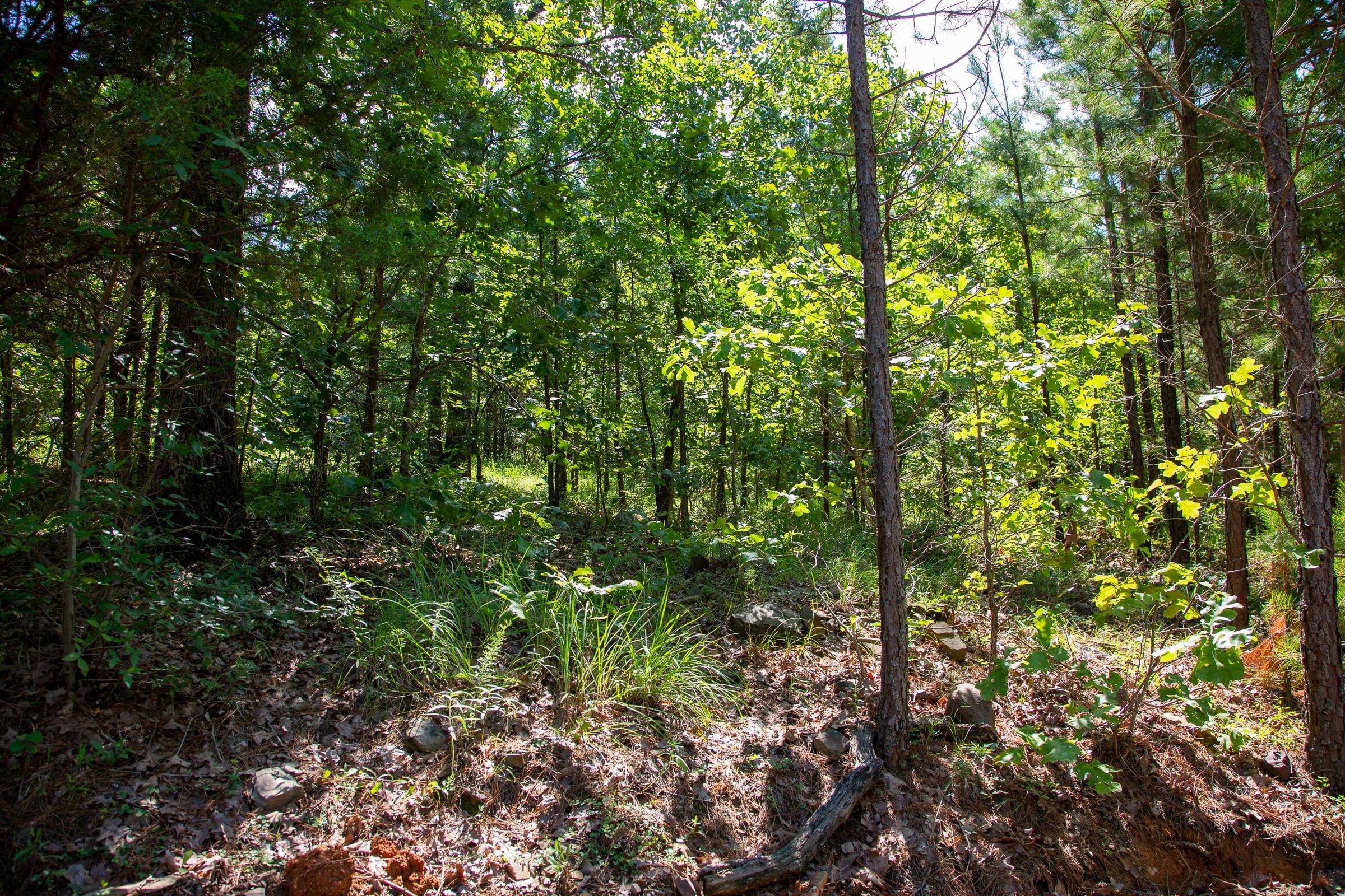Tyler Stone Ranch Tract 69 photo 3