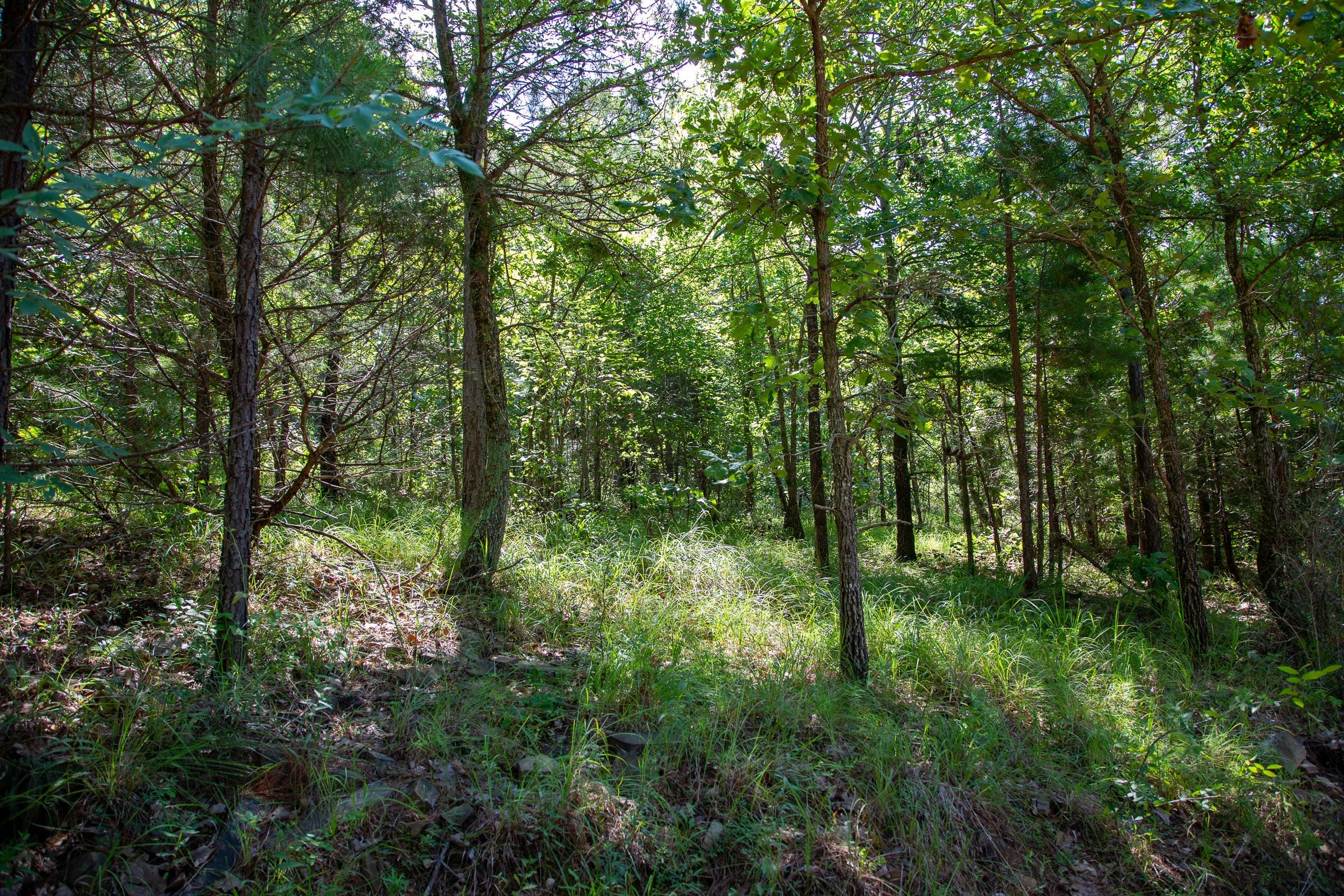 Tyler Stone Ranch Tract 69 photo 4