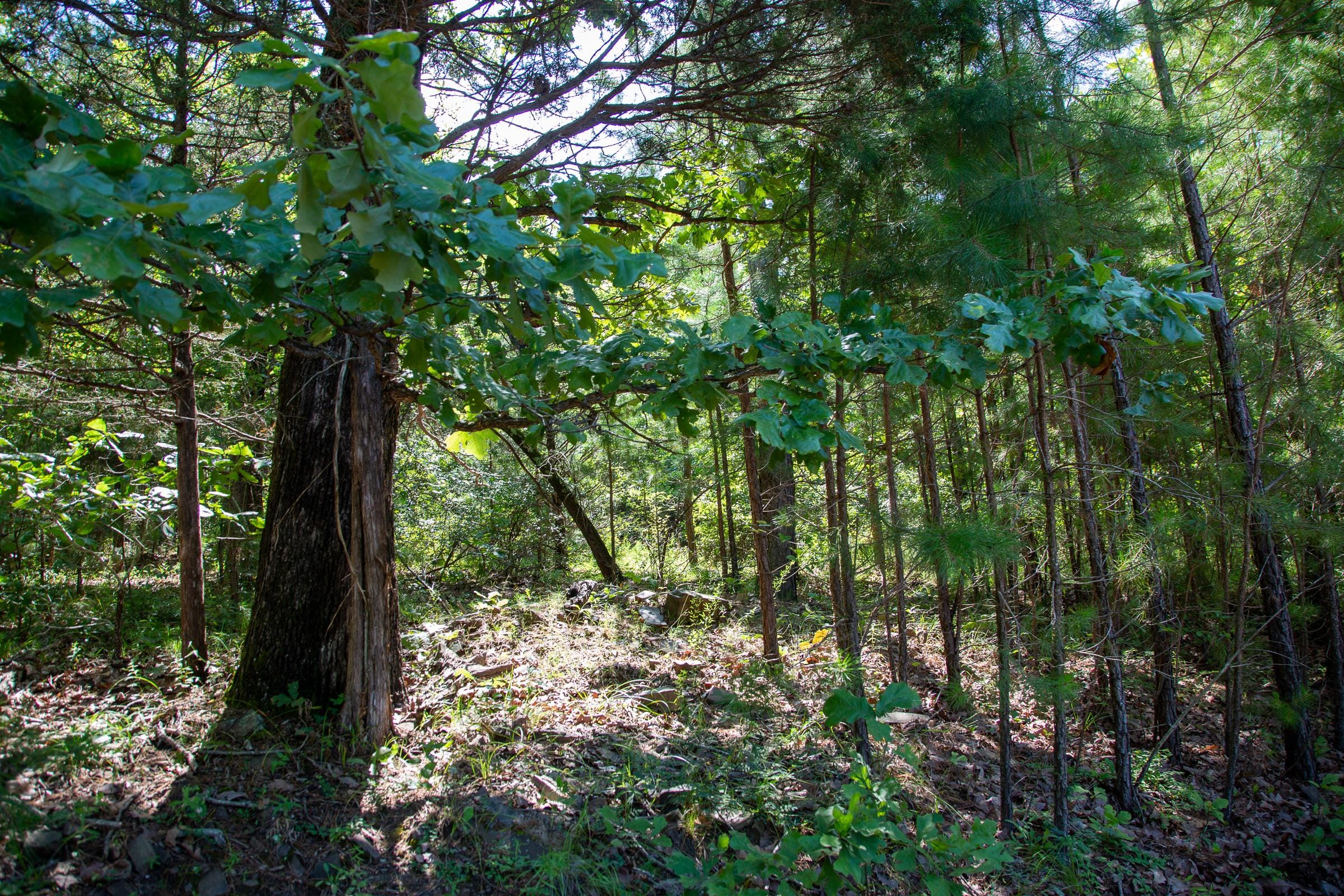 Tyler Stone Ranch Tract 69 photo 5