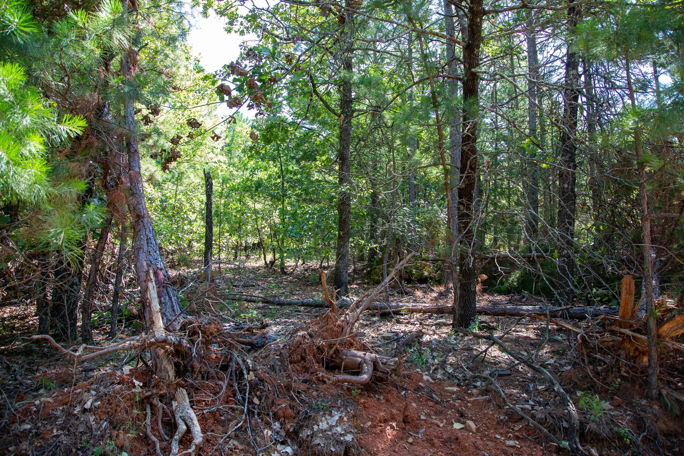 Tyler Stone Ranch Tract 69 photo 6