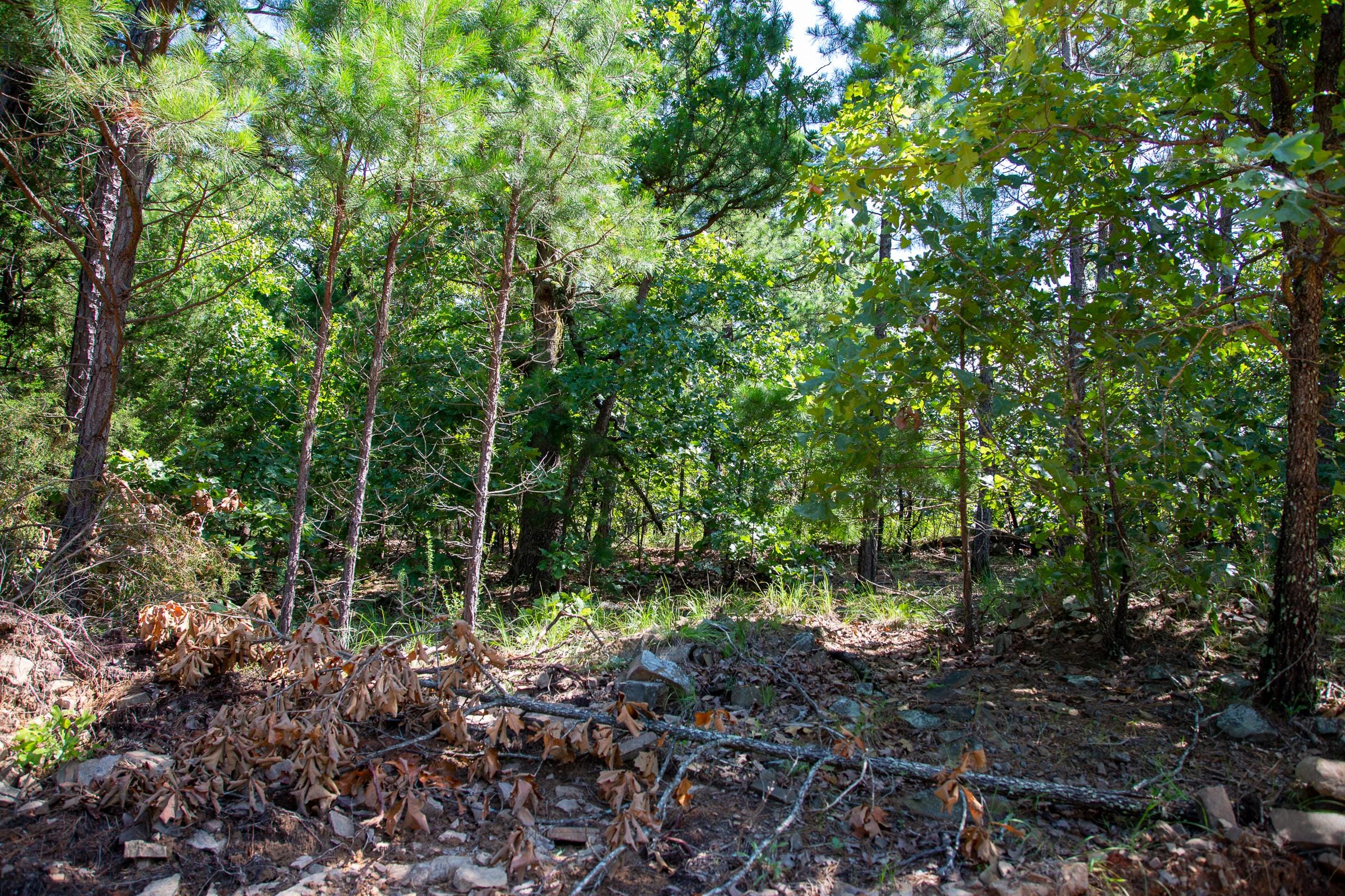 Tyler Stone Ranch Tract 69 photo 7