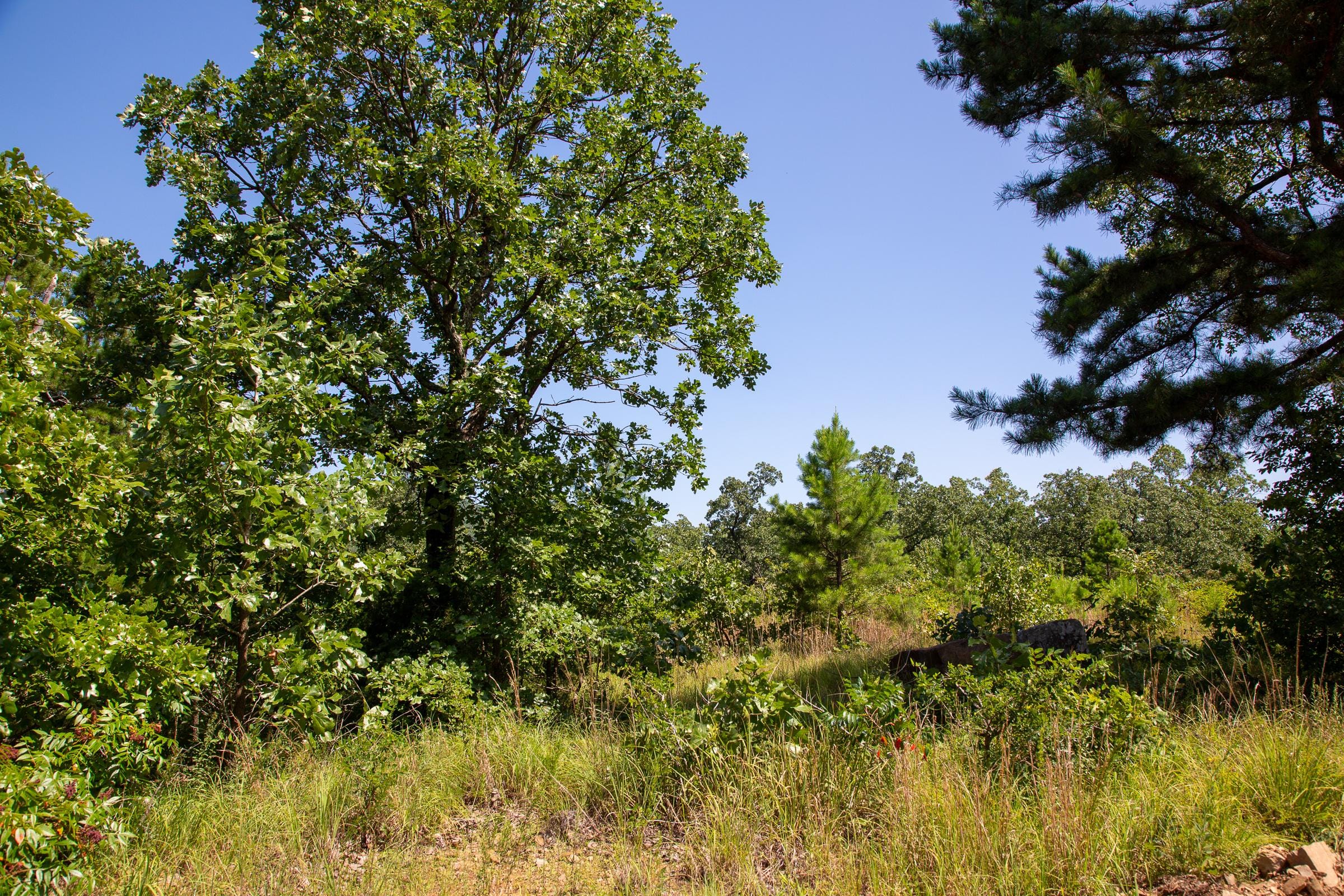Tyler Stone Ranch Tract 69 photo 9