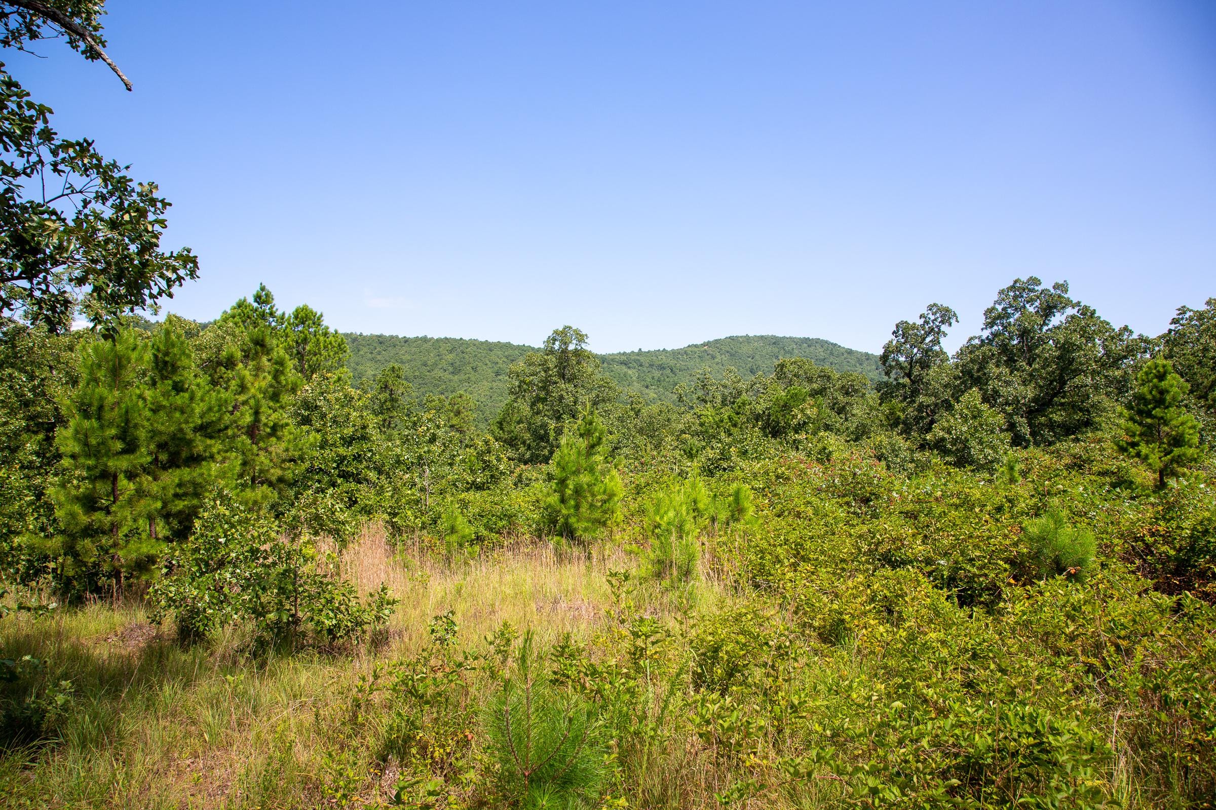 Tyler Stone Ranch Tract 69 photo 10