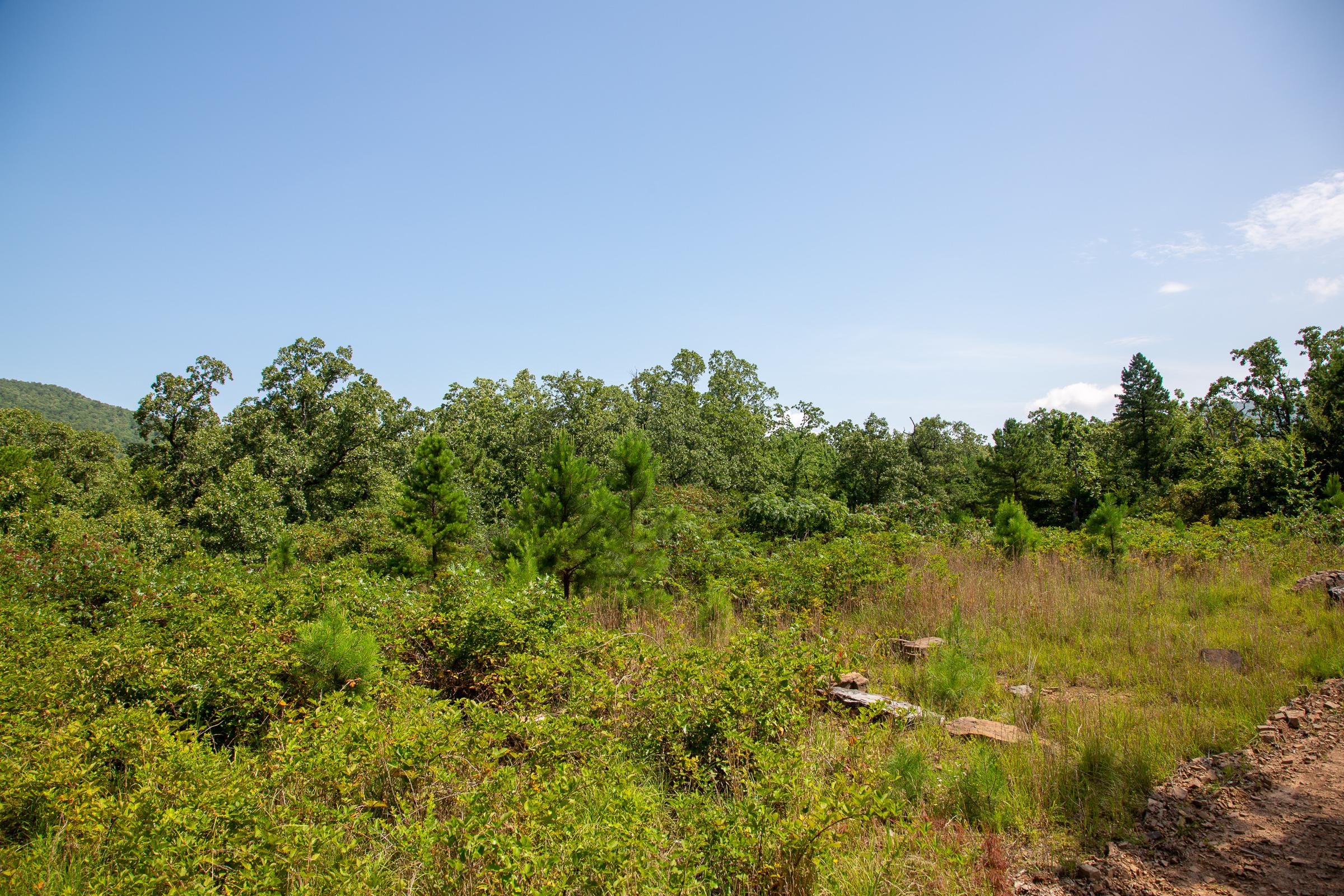 Tyler Stone Ranch Tract 69 photo 11