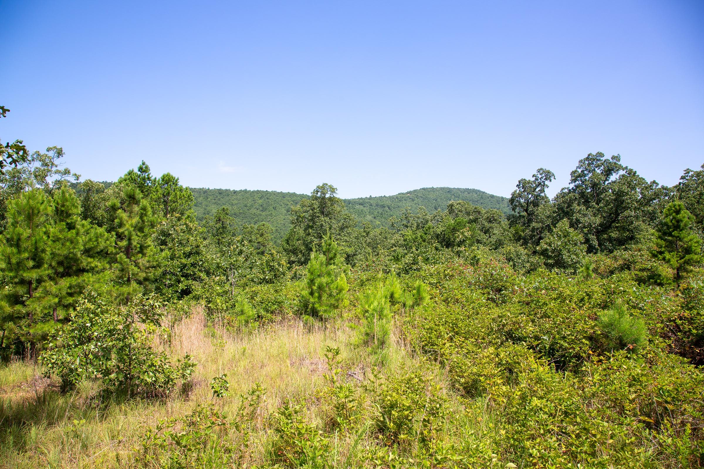 Tyler Stone Ranch Tract 69 photo 12