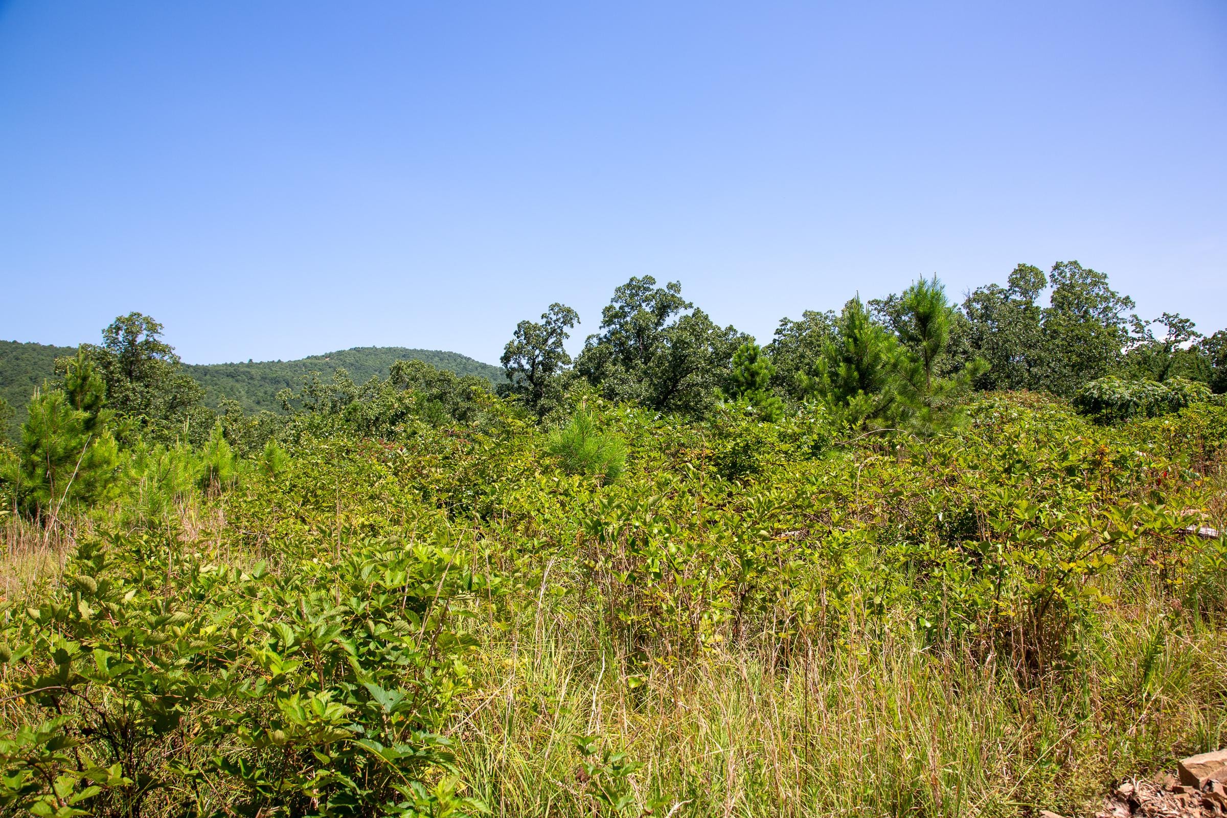 Tyler Stone Ranch Tract 69 photo 13