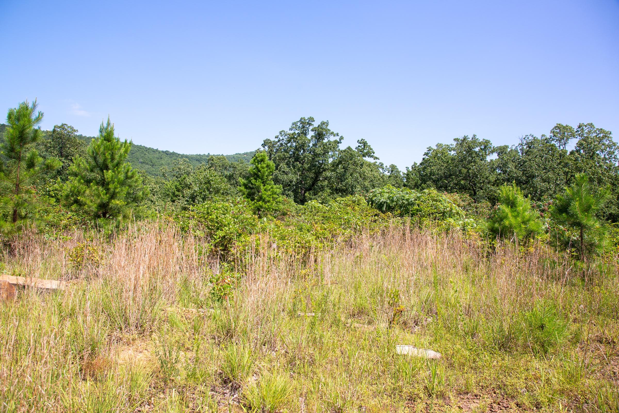 Tyler Stone Ranch Tract 69 photo 14