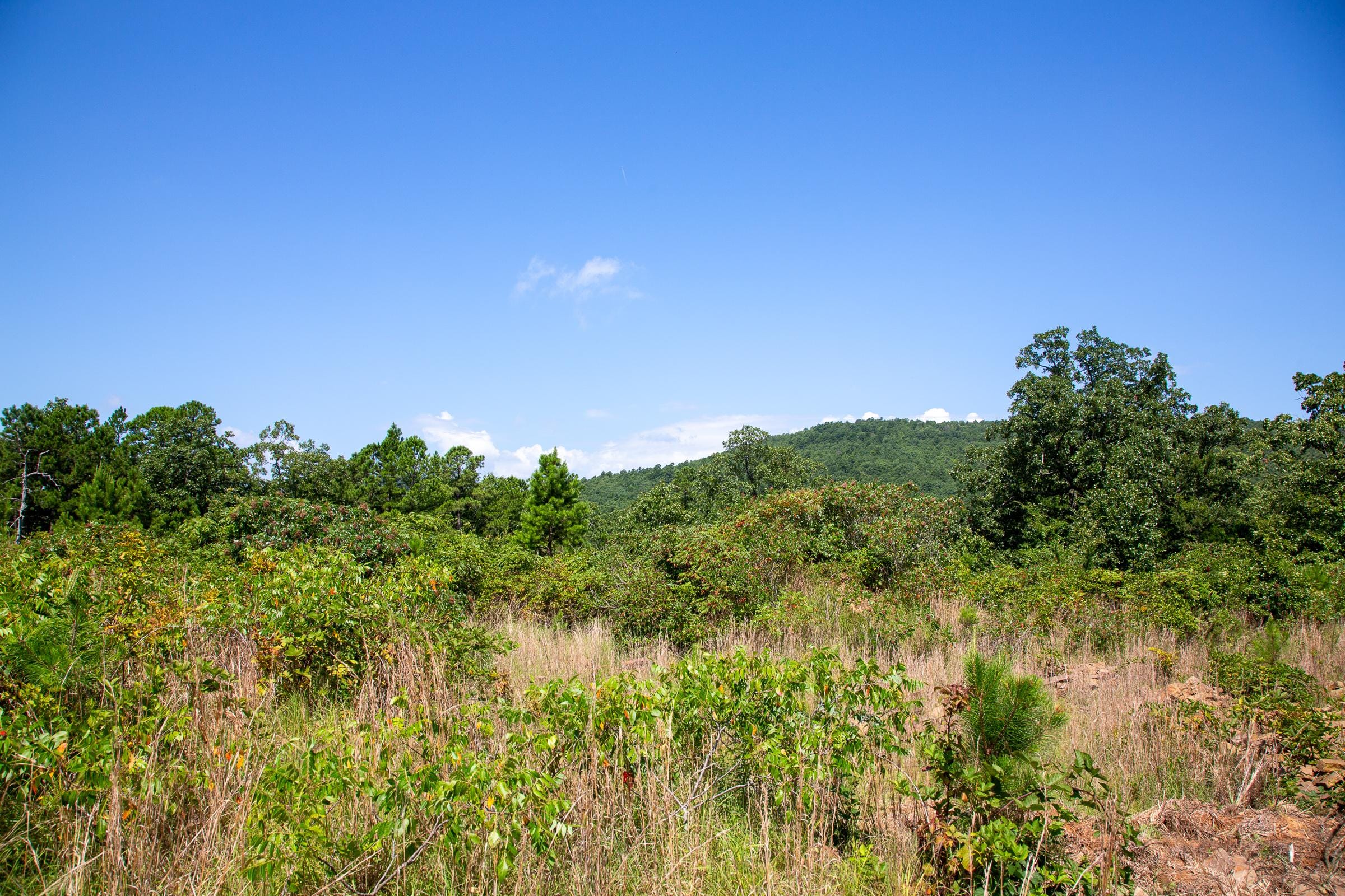 Tyler Stone Ranch Tract 69 photo 15