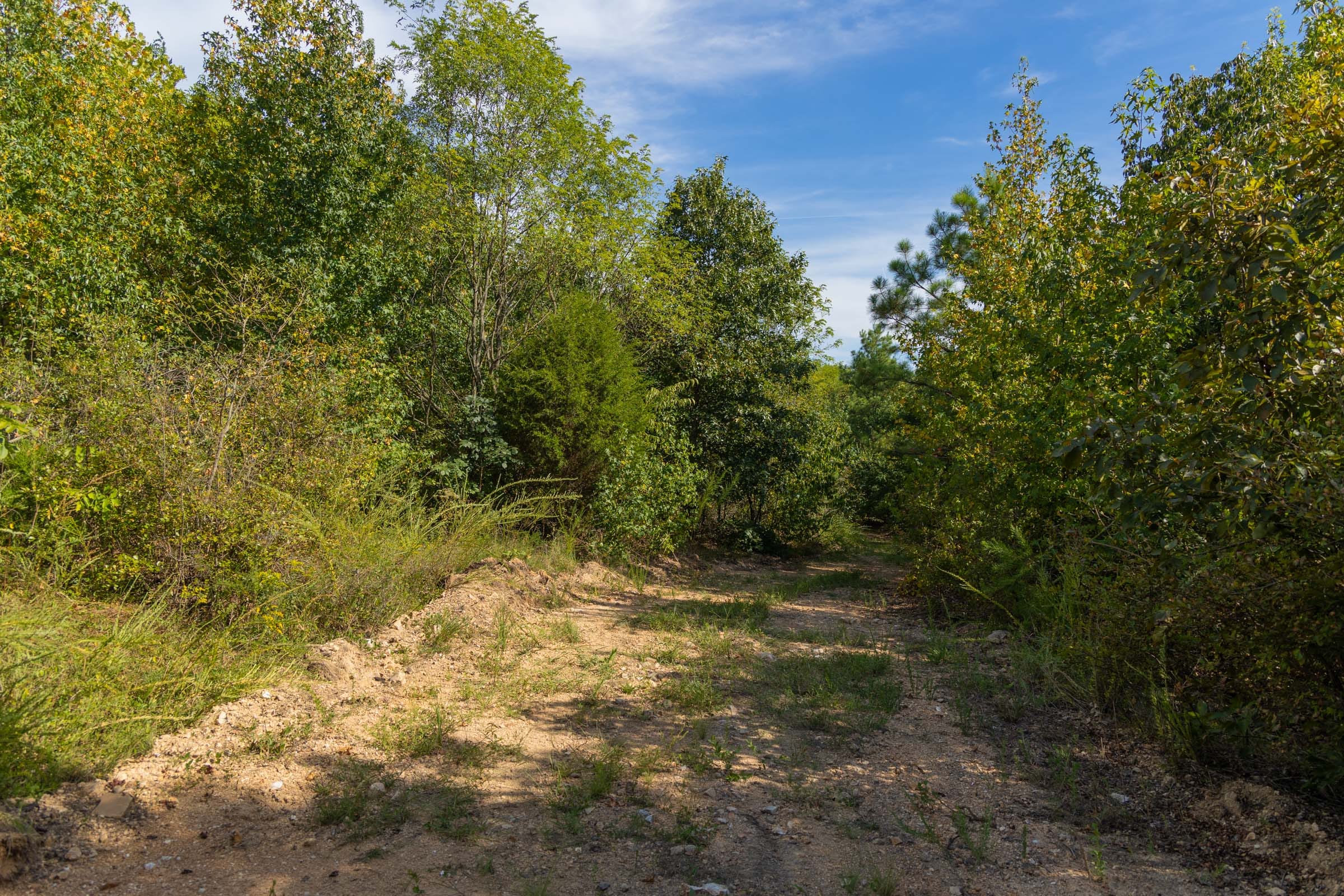 Big White Oak Tract 148 photo 1