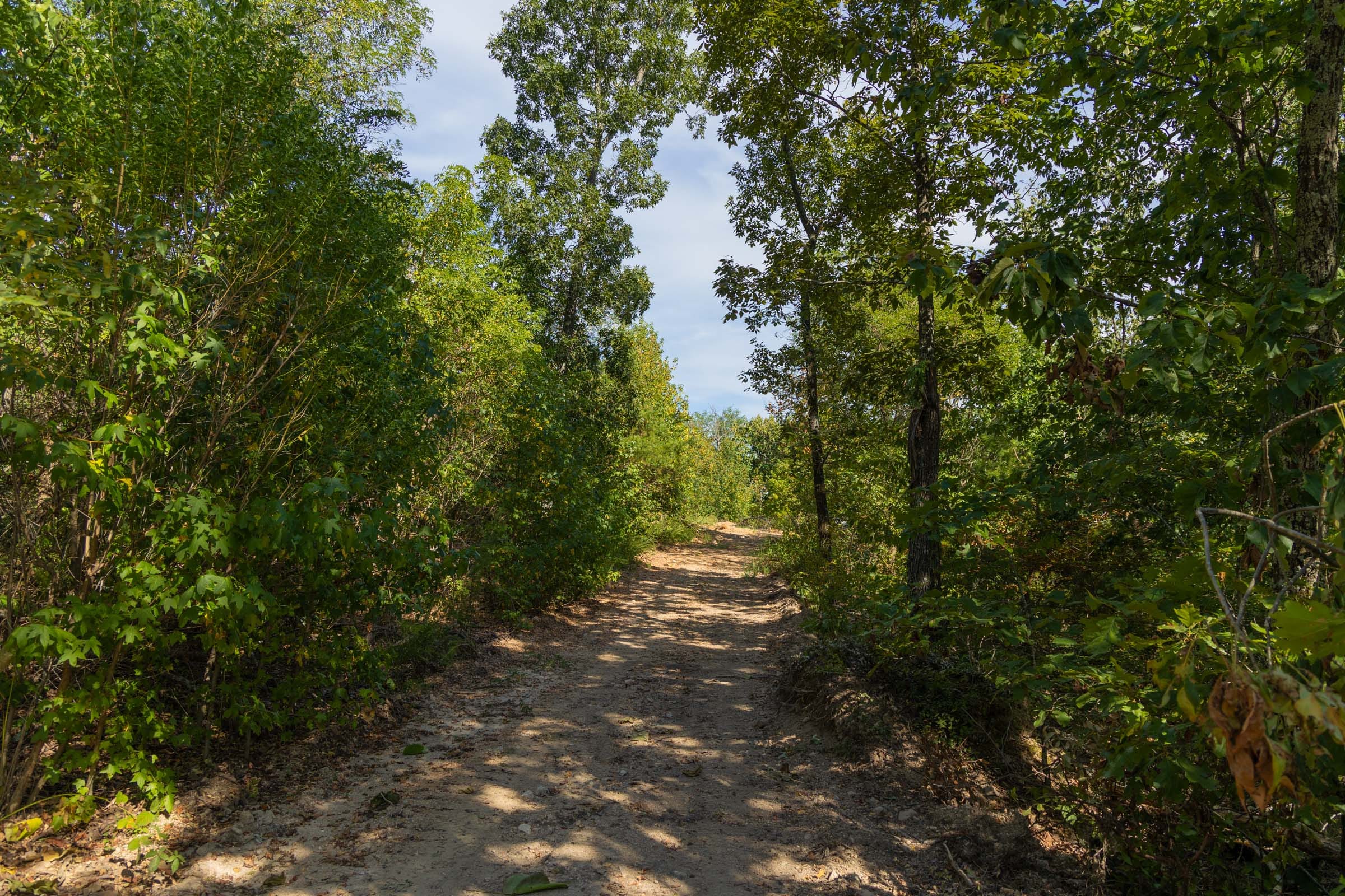 Big White Oak Tract 148 photo 2