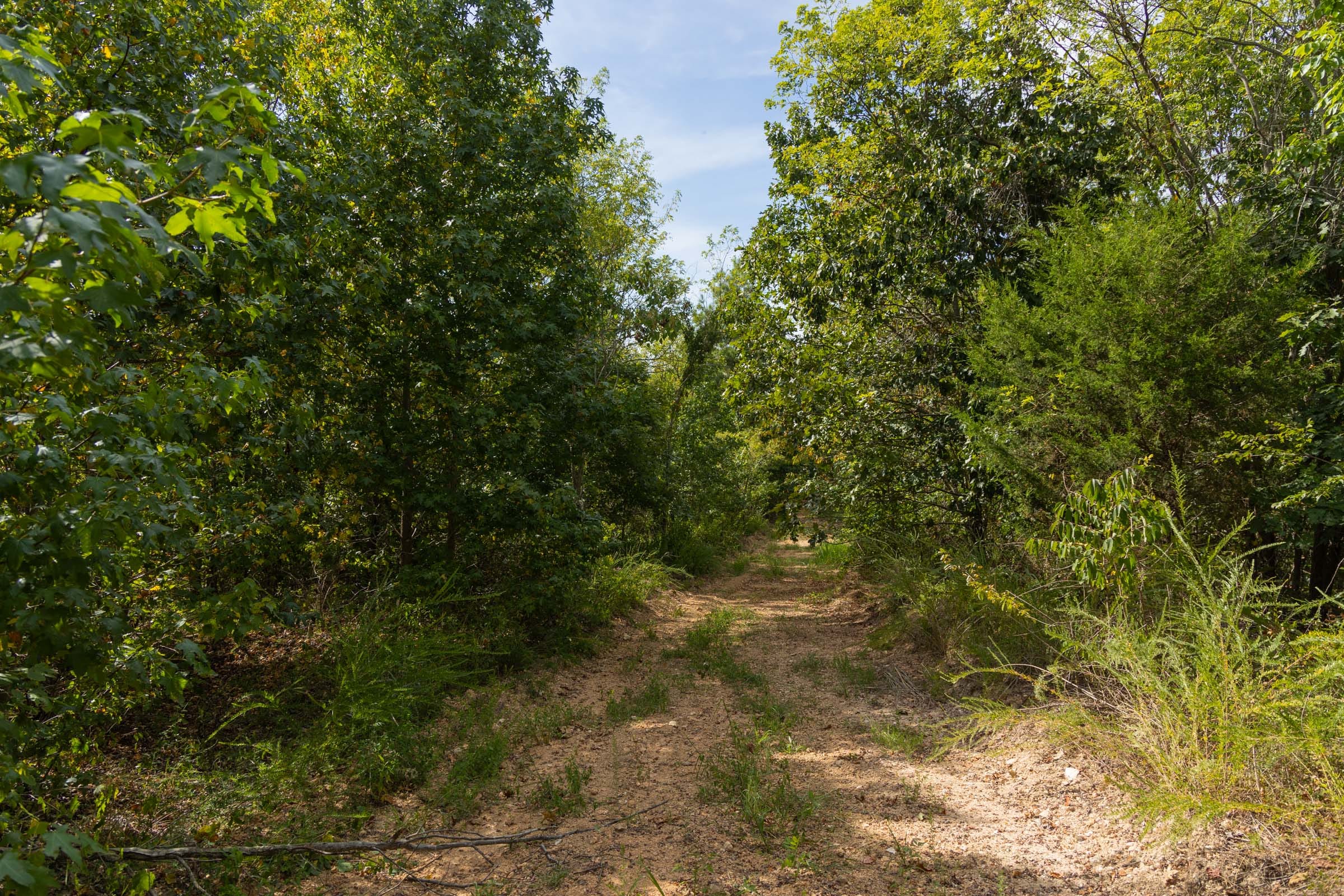 Big White Oak Tract 148 photo 5