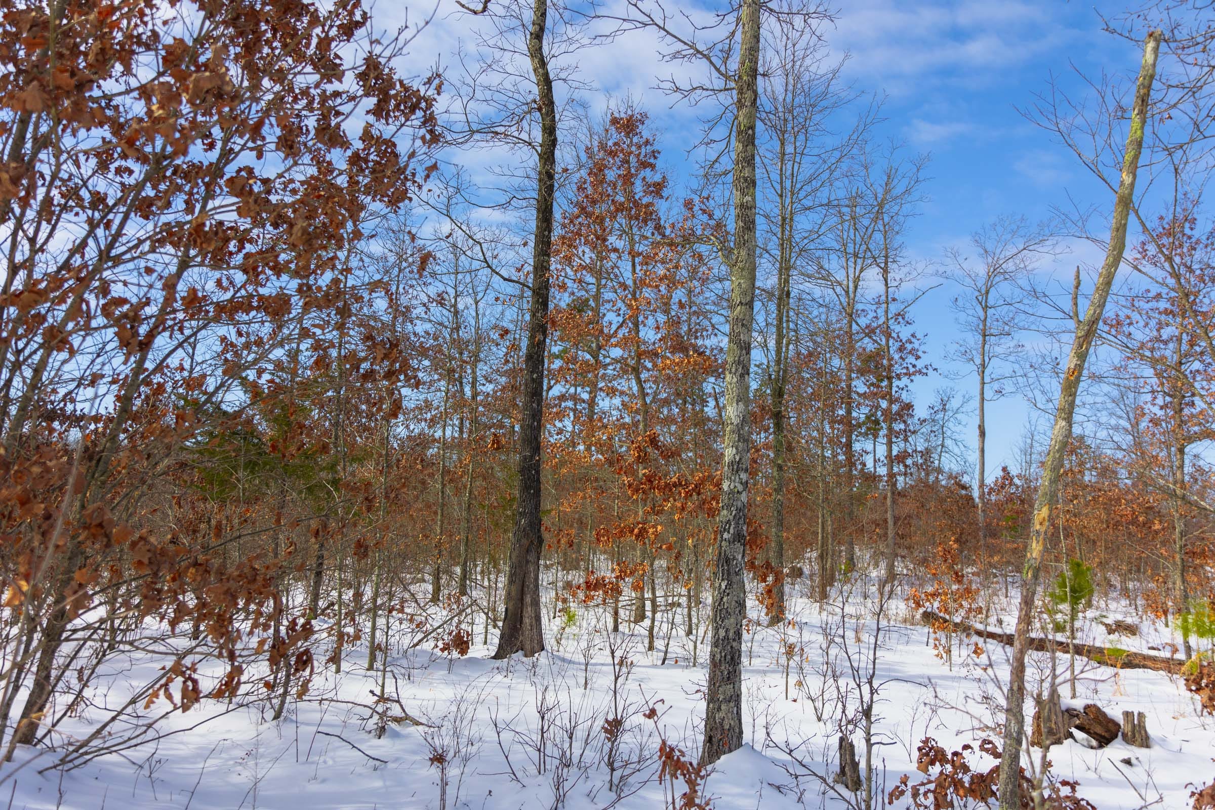 Sleepy Hollow Phase I Tract 4 photo 8