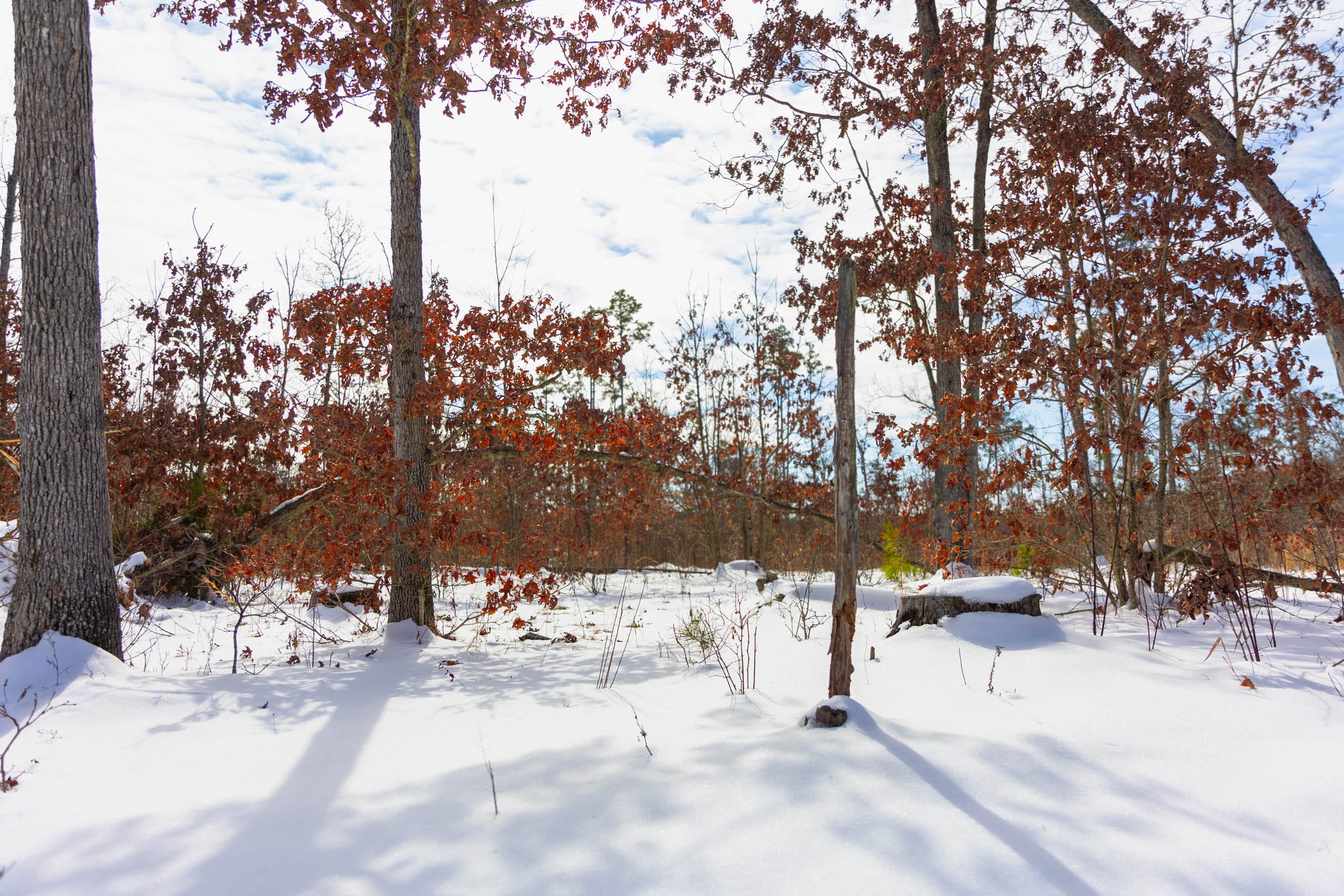 Sleepy Hollow Phase I Tract 4 photo 1