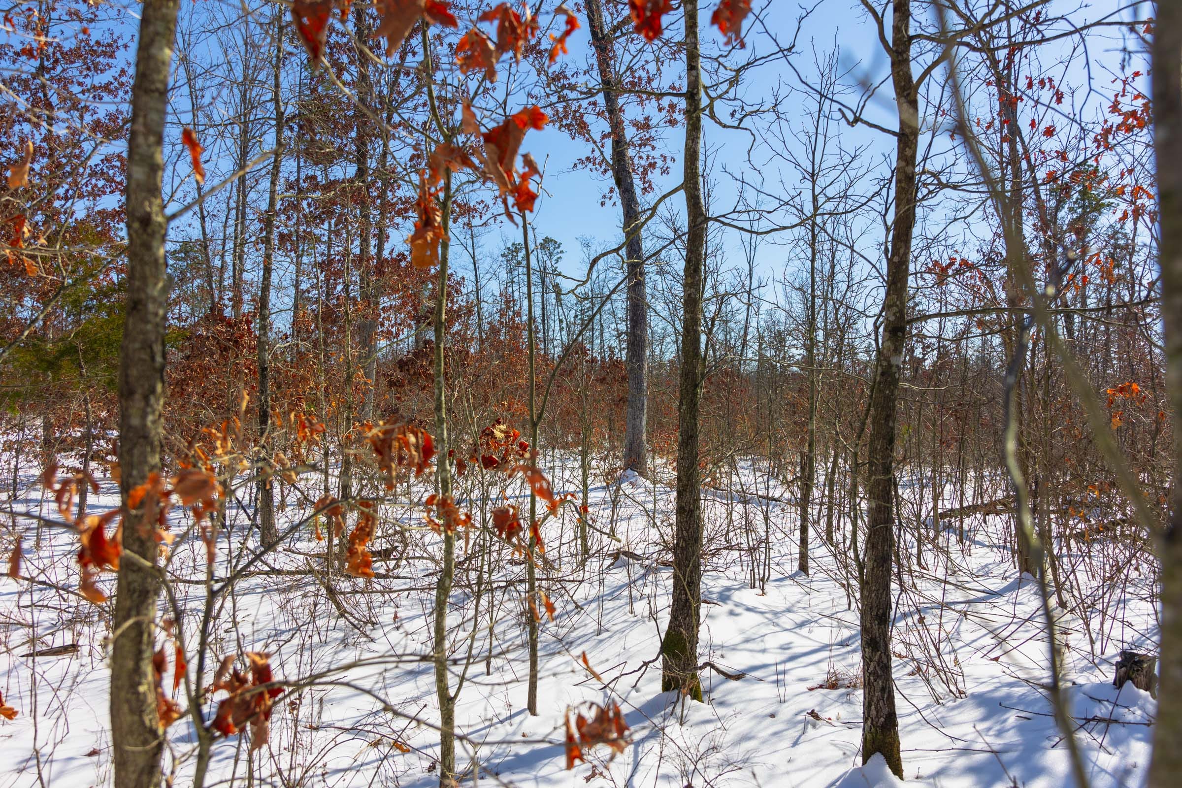 Sleepy Hollow Phase I Tract 4 photo 7