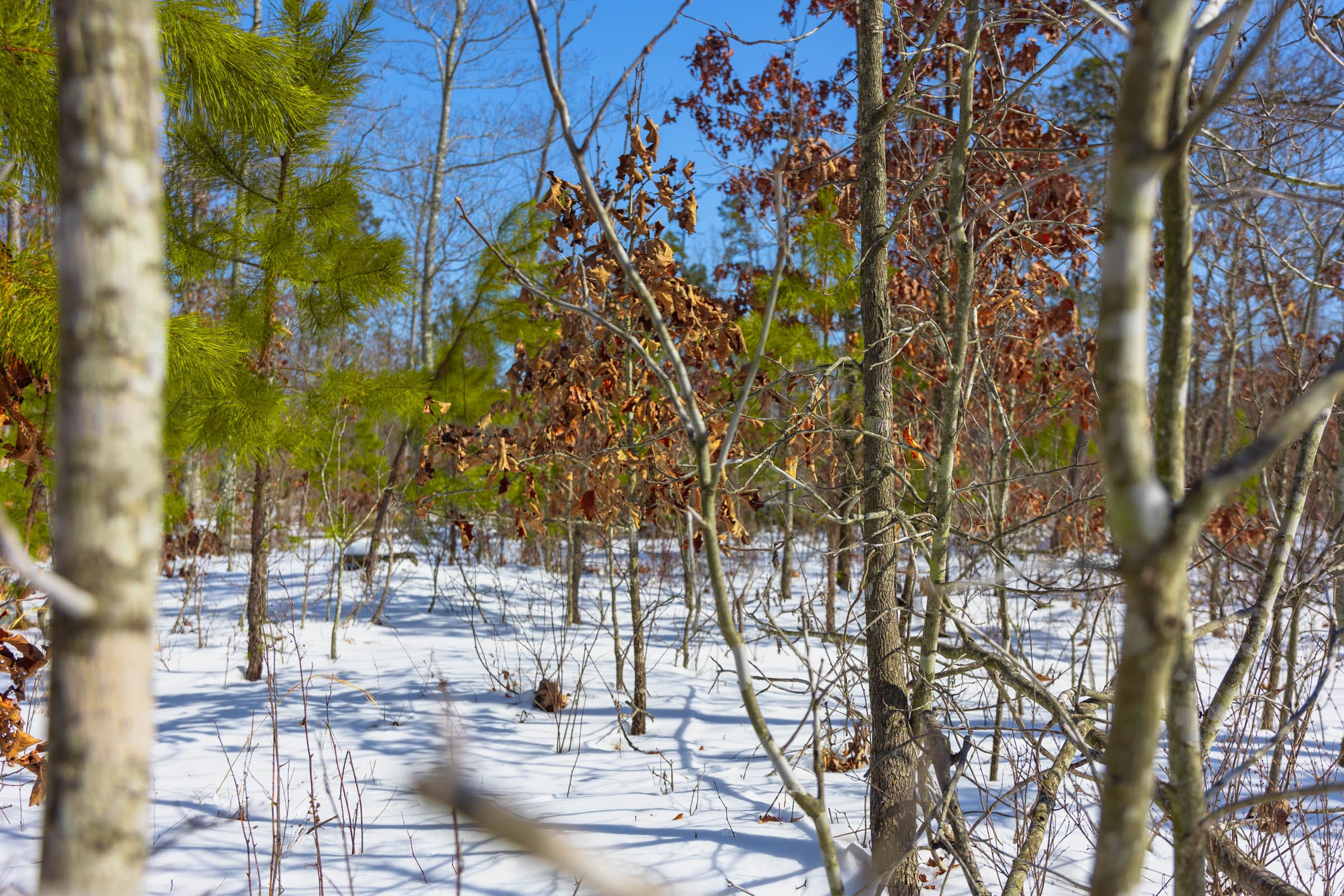 Sleepy Hollow Phase I Tract 4 photo 3