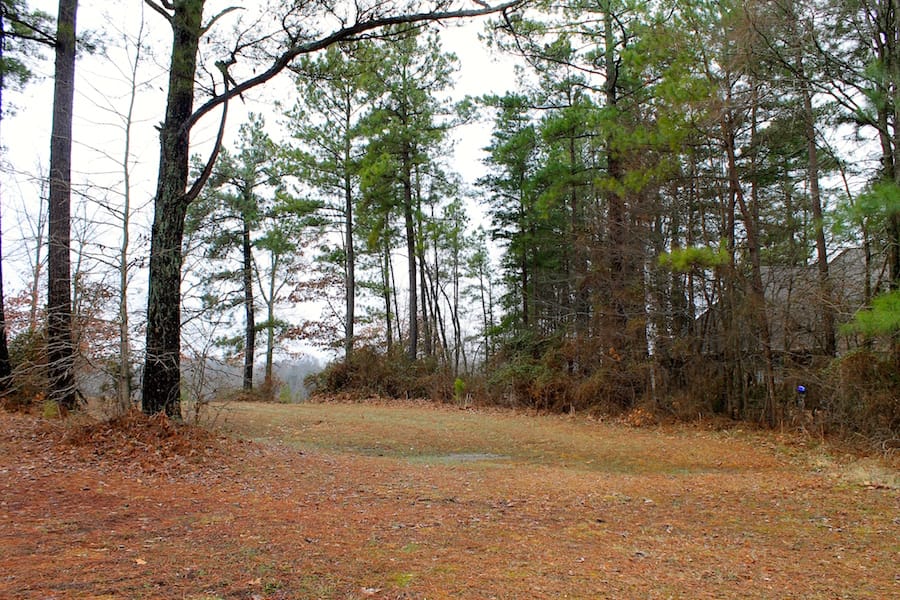 The Tennessean Tract 9 photo 4