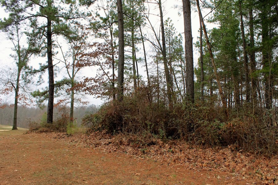 The Tennessean Tract 9 photo 5