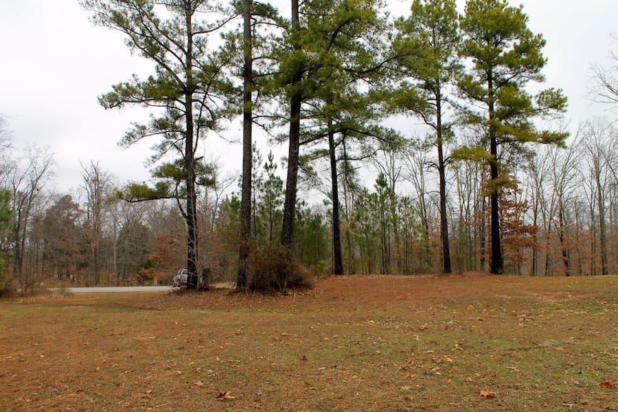 The Tennessean Tract 9 photo 6