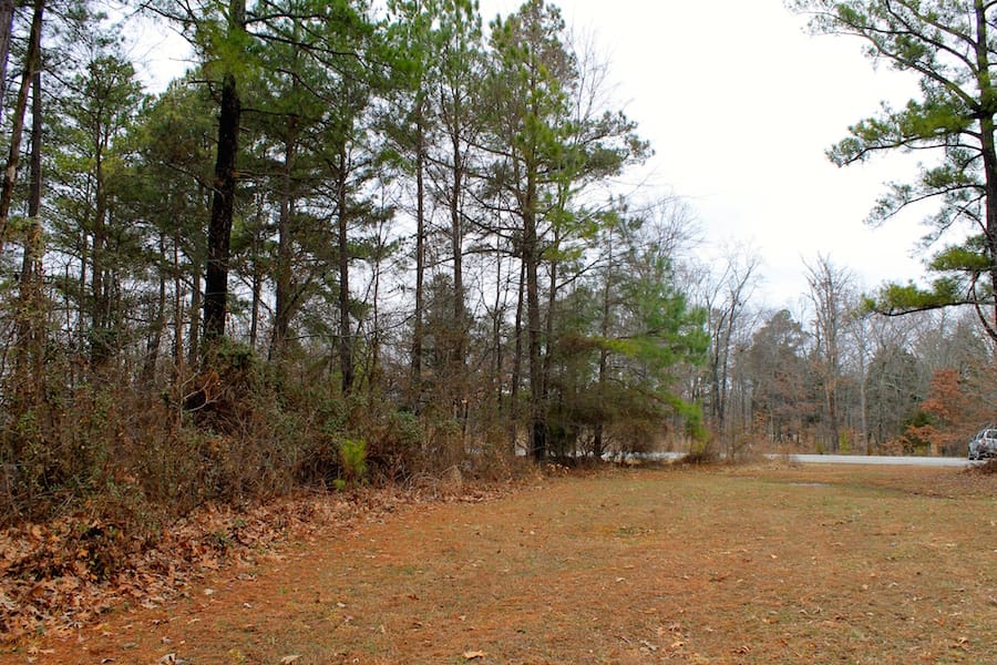 The Tennessean Tract 9 photo 7
