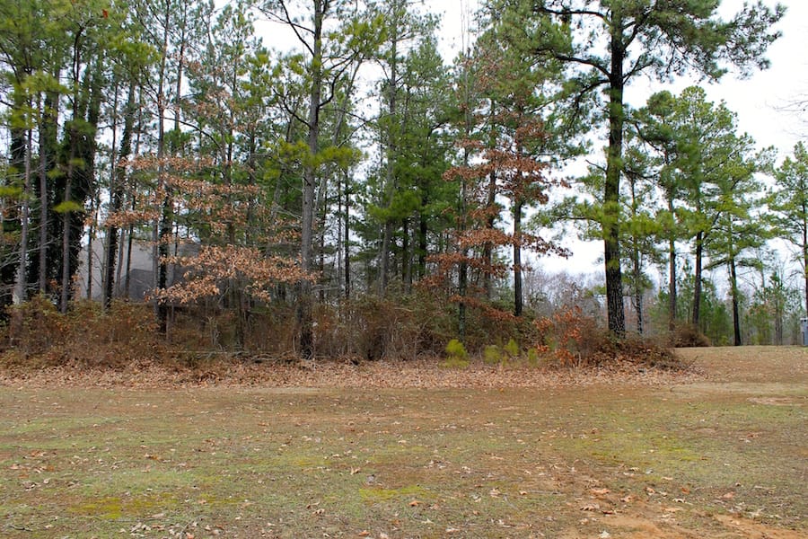 The Tennessean Tract 9 photo 8