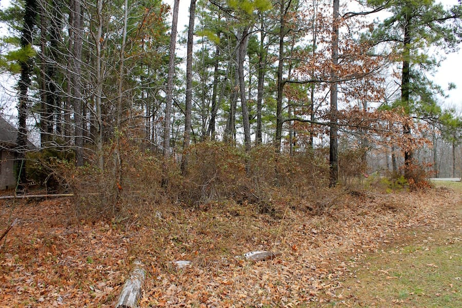 The Tennessean Tract 9 photo 9